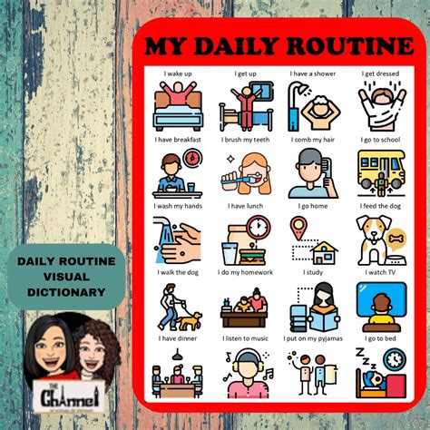 daily routine用法